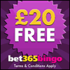 Enjoy online bingo at Bet365 Bingo
